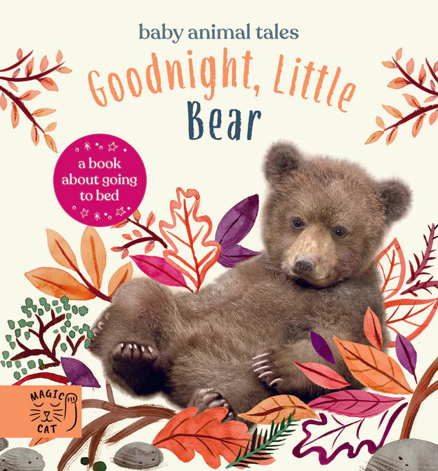 Read Aloud Books For Children - 'Bear in Underwear: Goodnight